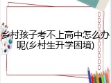 乡村孩子考不上高中怎么办呢(乡村生升学困境)