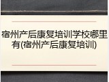宿州产后康复培训学校哪里有(宿州产后康复培训)