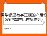伊犁哪里有学正规的产后恢复(伊犁产后恢复培训)