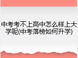 中考考不上高中怎么样上大学呢(中考落榜如何升学)