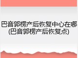 巴音郭楞产后恢复中心在哪(巴音郭楞产后恢复点)