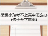 感觉小孩考不上高中怎么办(孩子升学焦虑)