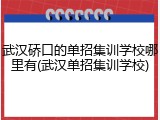 武汉硚口的单招集训学校哪里有(武汉单招集训学校)