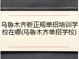 乌鲁木齐新正规单招培训学校在哪(乌鲁木齐单招学校)
