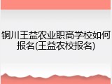 铜川王益农业职高学校如何报名(王益农校报名)