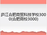 庐江合肥商贸科技学校3000(合肥商校3000)