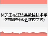 林芝工布江达县数控技术学校有哪些(林芝数控学校)