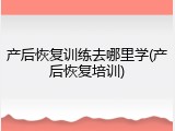 产后恢复训练去哪里学(产后恢复培训)