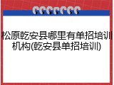松原乾安县哪里有单招培训机构(乾安县单招培训)