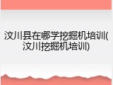 汶川县在哪学挖掘机培训(汶川挖掘机培训)