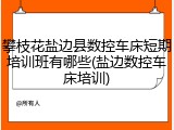 攀枝花盐边县数控车床短期培训班有哪些(盐边数控车床培训)