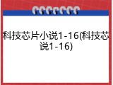 科技芯片小说1-16(科技芯说1-16)