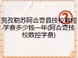 克孜勒苏阿合奇县技校数控学费多少钱一年(阿合奇技校数控学费)