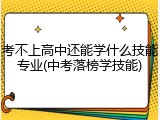 考不上高中还能学什么技能专业(中考落榜学技能)