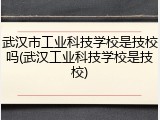 武汉市工业科技学校是技校吗(武汉工业科技学校是技校)