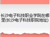 长沙电子科技职业学院在哪里(长沙电子科技职院地址)