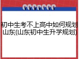 初中生考不上高中如何规划山东(山东初中生升学规划)