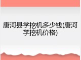 唐河县学挖机多少钱(唐河学挖机价格)