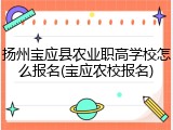 扬州宝应县农业职高学校怎么报名(宝应农校报名)