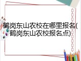 鹤岗东山农校在哪里报名(鹤岗东山农校报名点)