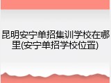昆明安宁单招集训学校在哪里(安宁单招学校位置)