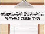 芜湖芜湖县单招集训学校在哪里(芜湖县单招学校)