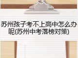 苏州孩子考不上高中怎么办呢(苏州中考落榜对策)