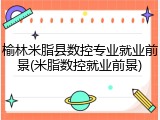 榆林米脂县数控专业就业前景(米脂数控就业前景)