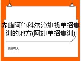 赤峰阿鲁科尔沁旗找单招集训的地方(阿旗单招集训)
