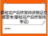 攀枝花产后修复师资格证在哪里考(攀枝花产后修复师考证)