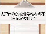 大理南涧的农业学校在哪里(南涧农校地址)