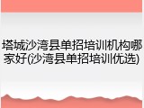 塔城沙湾县单招培训机构哪家好(沙湾县单招培训优选)