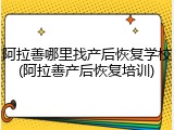 阿拉善哪里找产后恢复学校(阿拉善产后恢复培训)