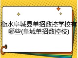 衡水阜城县单招数控学校有哪些(阜城单招数控校)