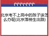北京考不上高中的孩子该怎么办呢(北京落榜生出路)