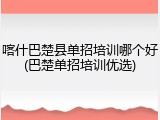 喀什巴楚县单招培训哪个好(巴楚单招培训优选)
