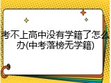 考不上高中没有学籍了怎么办(中考落榜无学籍)