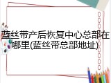 蓝丝带产后恢复中心总部在哪里(蓝丝带总部地址)