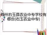 朔州右玉县农业中专学校有哪些(右玉农业中专)