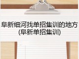 阜新细河找单招集训的地方(阜新单招集训)