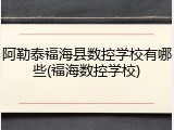 阿勒泰福海县数控学校有哪些(福海数控学校)