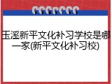 玉溪新平文化补习学校是哪一家(新平文化补习校)