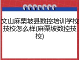 文山麻栗坡县数控培训学校技校怎么样(麻栗坡数控技校)