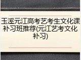 玉溪元江高考艺考生文化课补习班推荐(元江艺考文化补习)