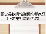 正定县挖机培训机构哪家好(正定挖机培训优选)