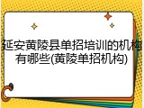延安黄陵县单招培训的机构有哪些(黄陵单招机构)