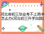 河北省初三毕业考不上高中怎么办(河北初三升学出路)