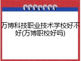 万博科技职业技术学校好不好(万博职校好吗)