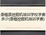 桑植县挖掘机培训学校学费多少(桑植挖掘机培训学费)