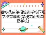 攀枝花东单招培训学校正规学校有那些(攀枝花正规单招学校)